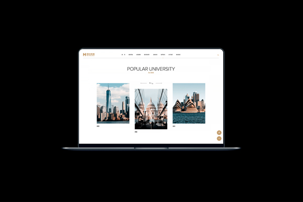 HEX教育咨詢品牌網(wǎng)站設(shè)計(jì)